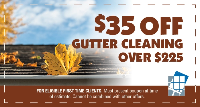 Window Cleaning Coupon