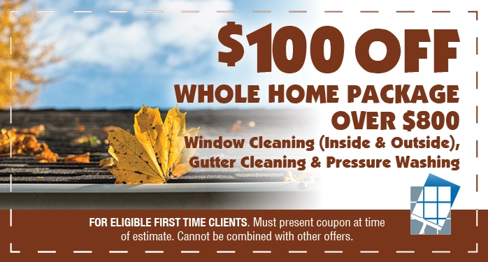Window Cleaning Coupon