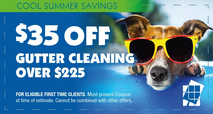 Window Cleaning Coupon