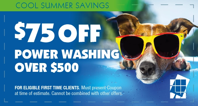 Window Cleaning Coupon