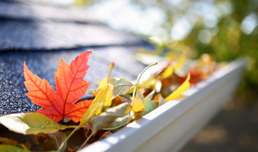 AAA Window Gutter Cleaning