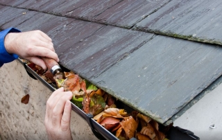 Professional Workman Cleaning Gutters