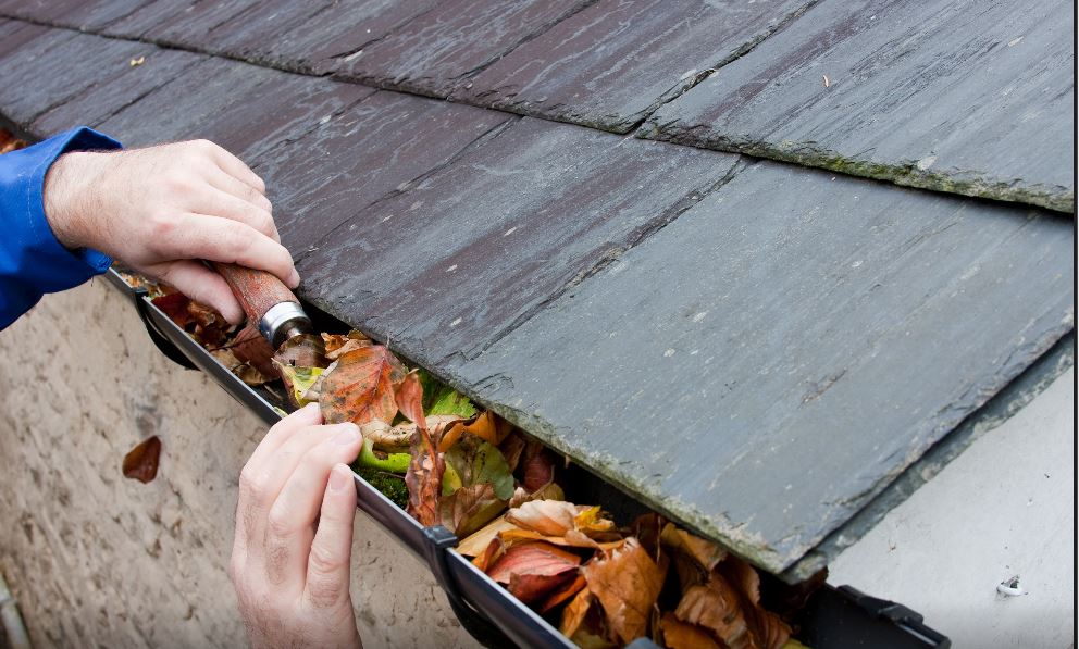 Professional Workman Cleaning Gutters