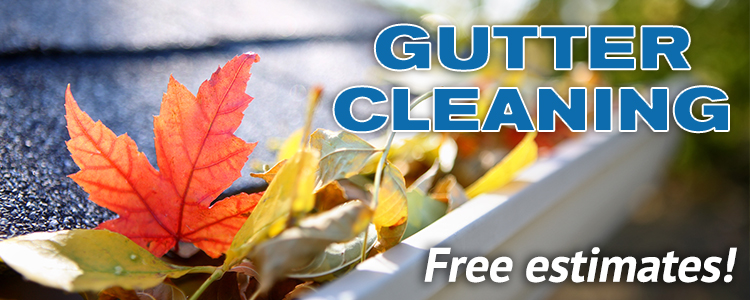 aaa-solutions-gutter-cleaning-services