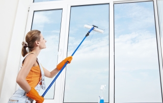 AAA Window Washing Hacks