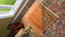 Sun Damage Hardwood Floors